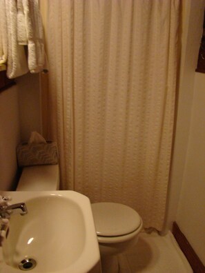 Luksushytte, 1 queensize-seng, peis | Bad | Dusj, toalettartikler (inkludert), hårføner og håndklær