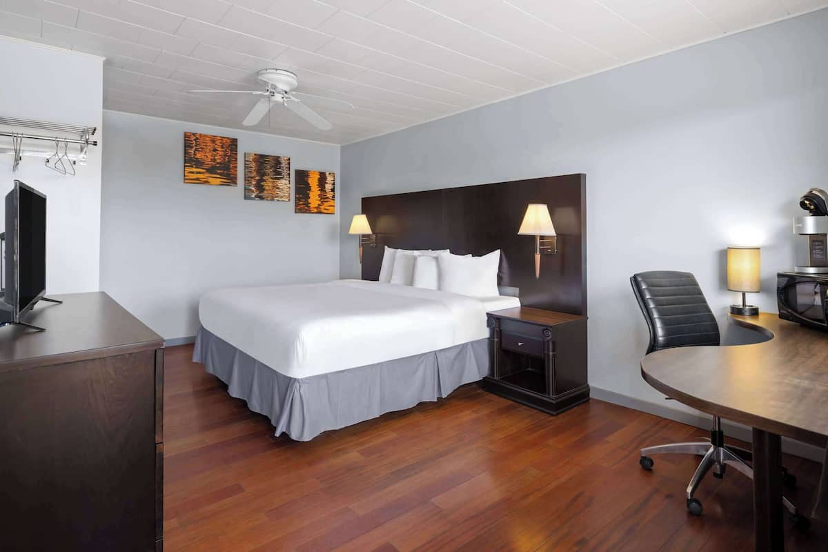 Room, 1 King Bed, Non Smoking | Desk, laptop workspace, free WiFi, wheelchair access