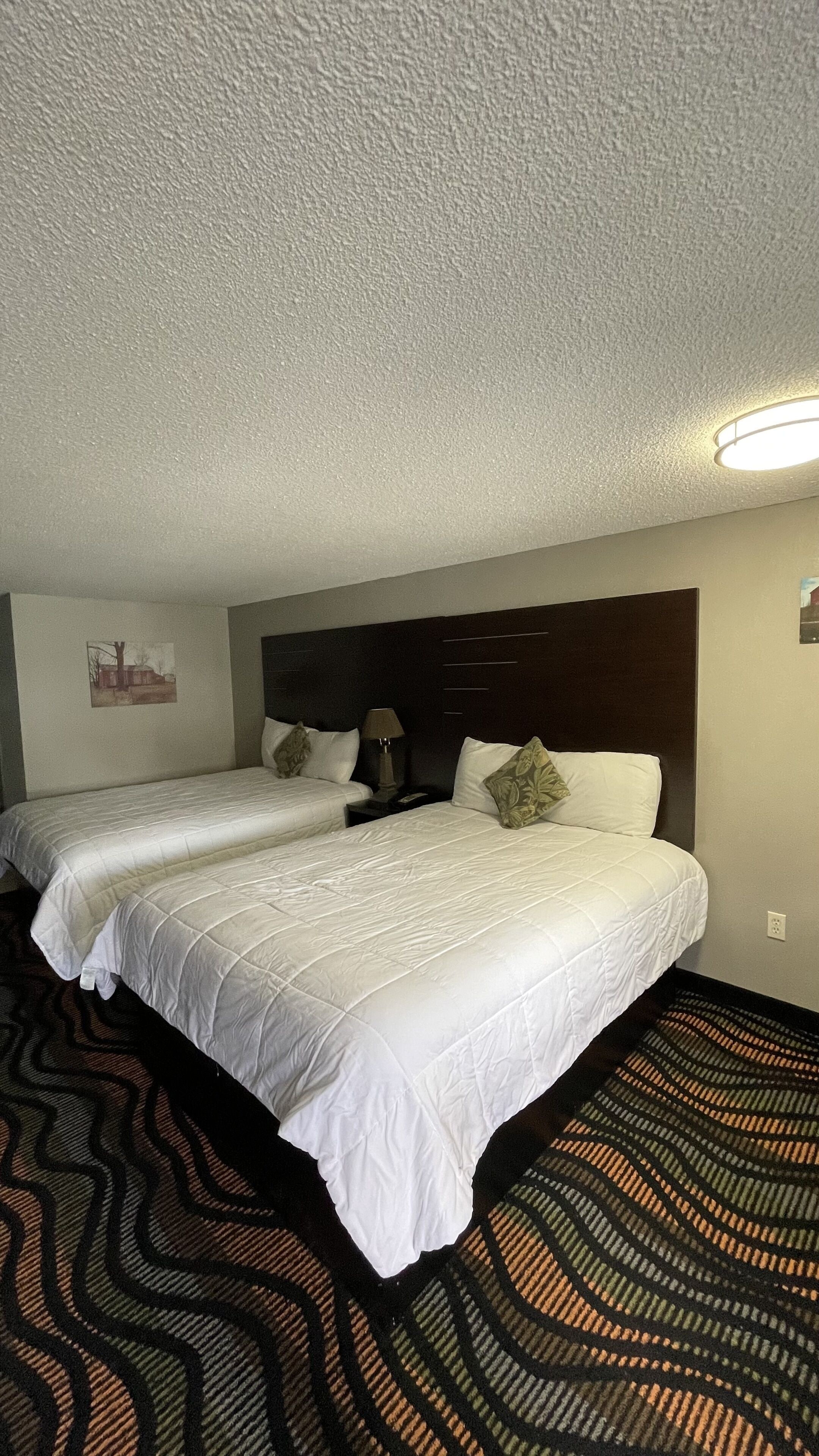 Habitación de hotel con dos camas, cabeceros, mesitas de noche, lámparas y una alfombra estampada.