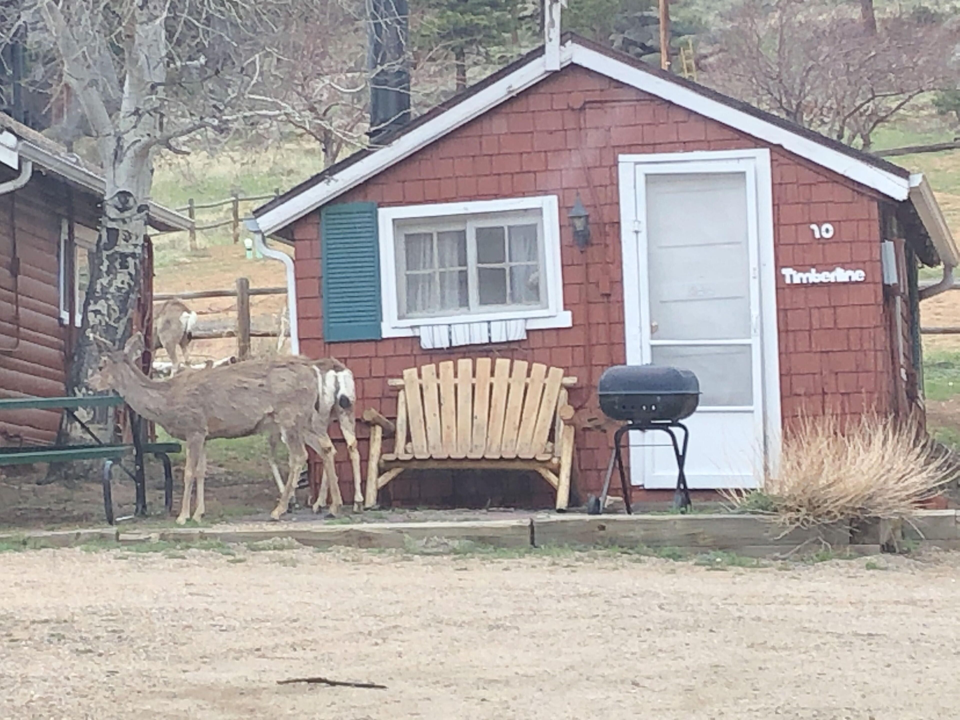 A small, single-story cabin with a red exterior and white trim, a wooden bench, and a barbecue grill outside.