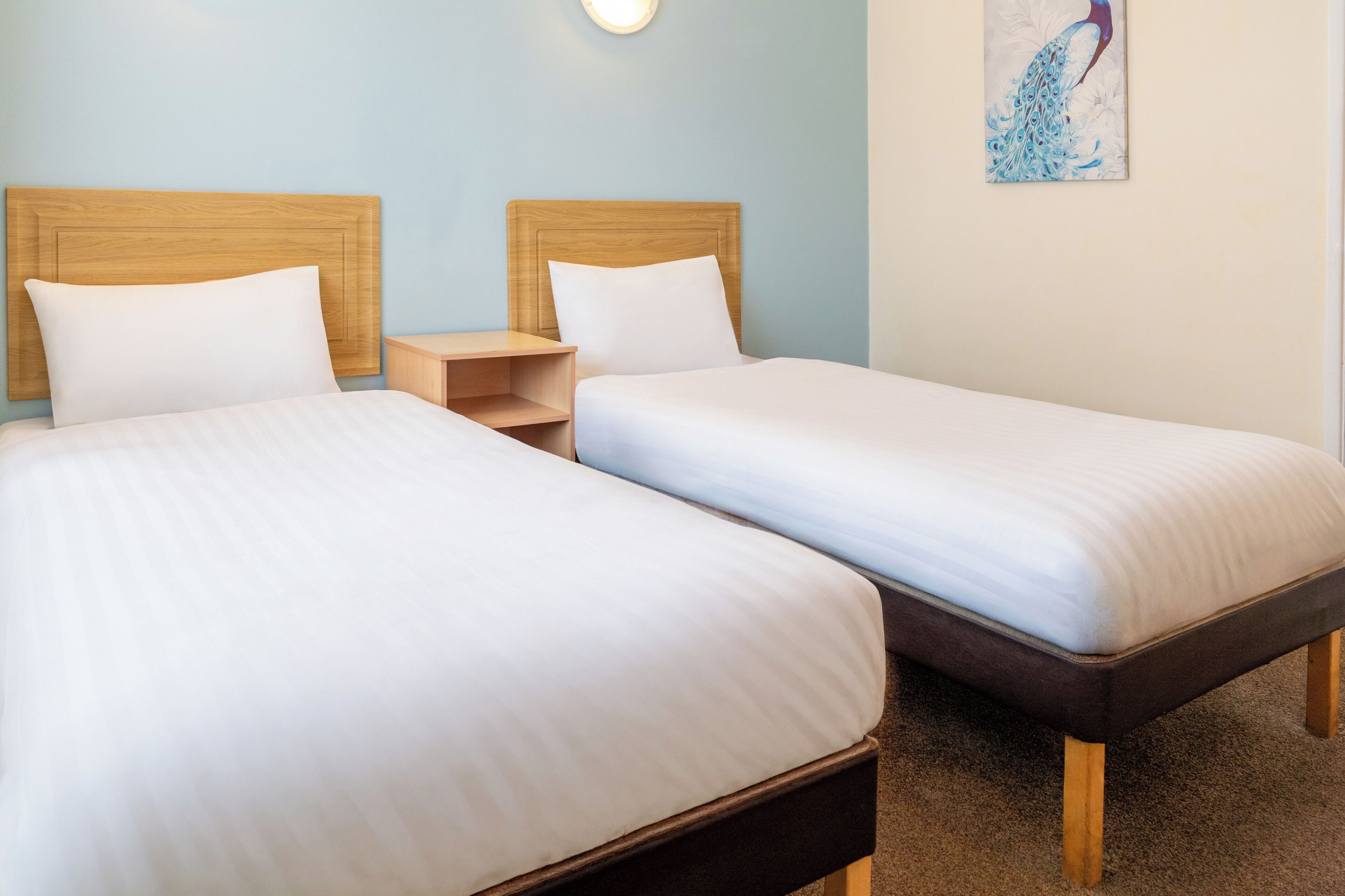 Classic Twin Room