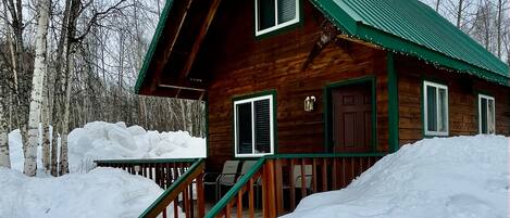 Uma cabana de madeira com telhado verde, rodeada por neve e árvores.
