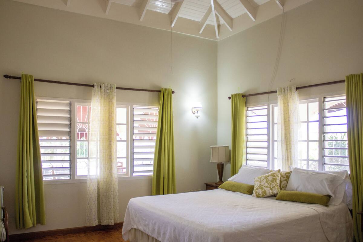 Une chambre à coucher avec un grand lit, deux fenêtres avec volets, une table de chevet avec une lampe et un ventilateur de plafond.