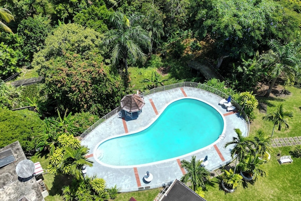 Outdoor pool, pool umbrellas, sun loungers
