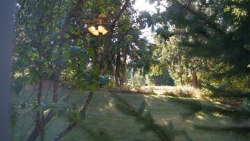 Vista desde la habitación
