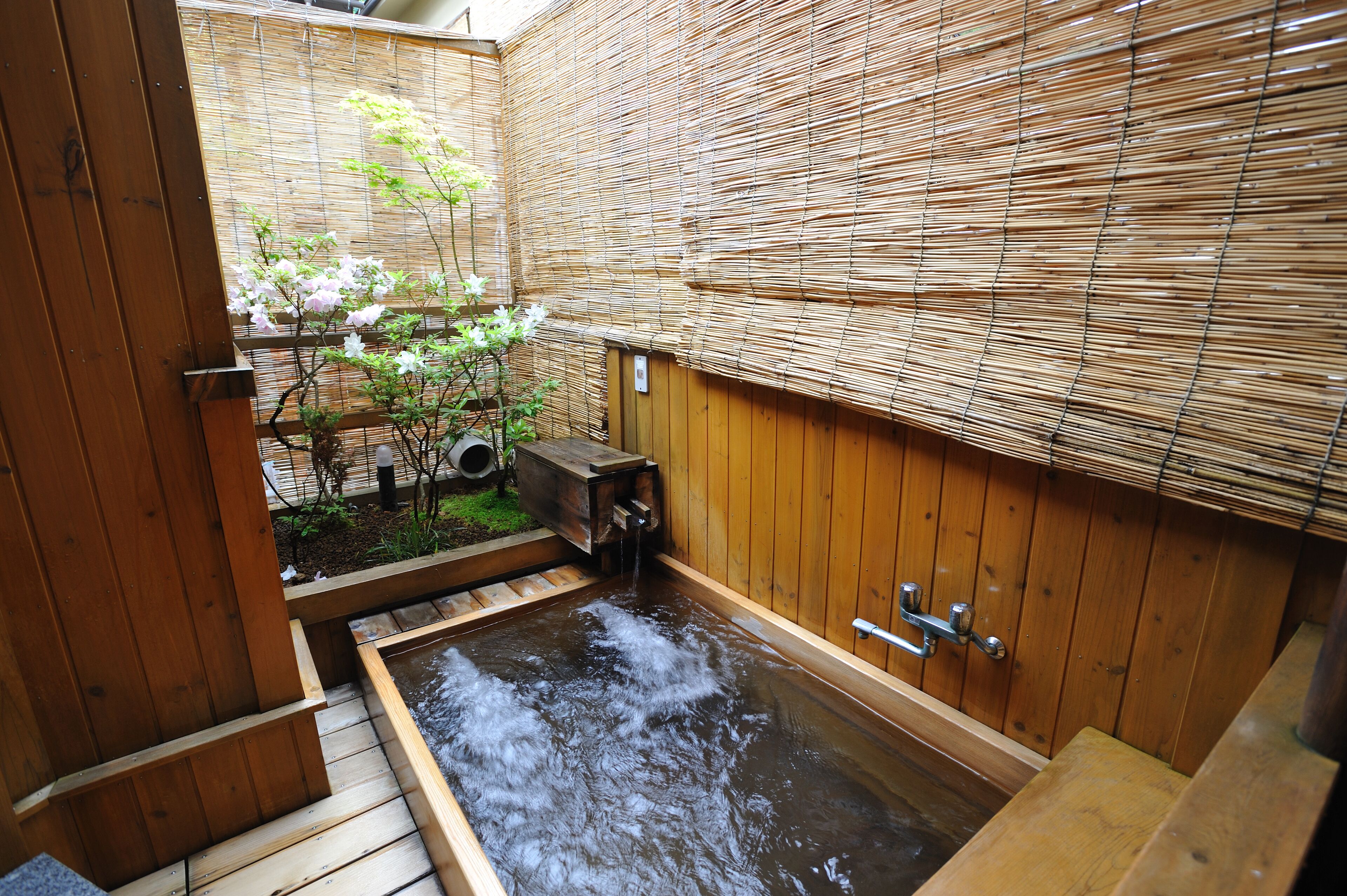 Un onsen japonés tradicional con suelo de madera que lleva a una fuente termal, rodeado de paredes de bambú y un pequeño jardín con cerezos en flor.