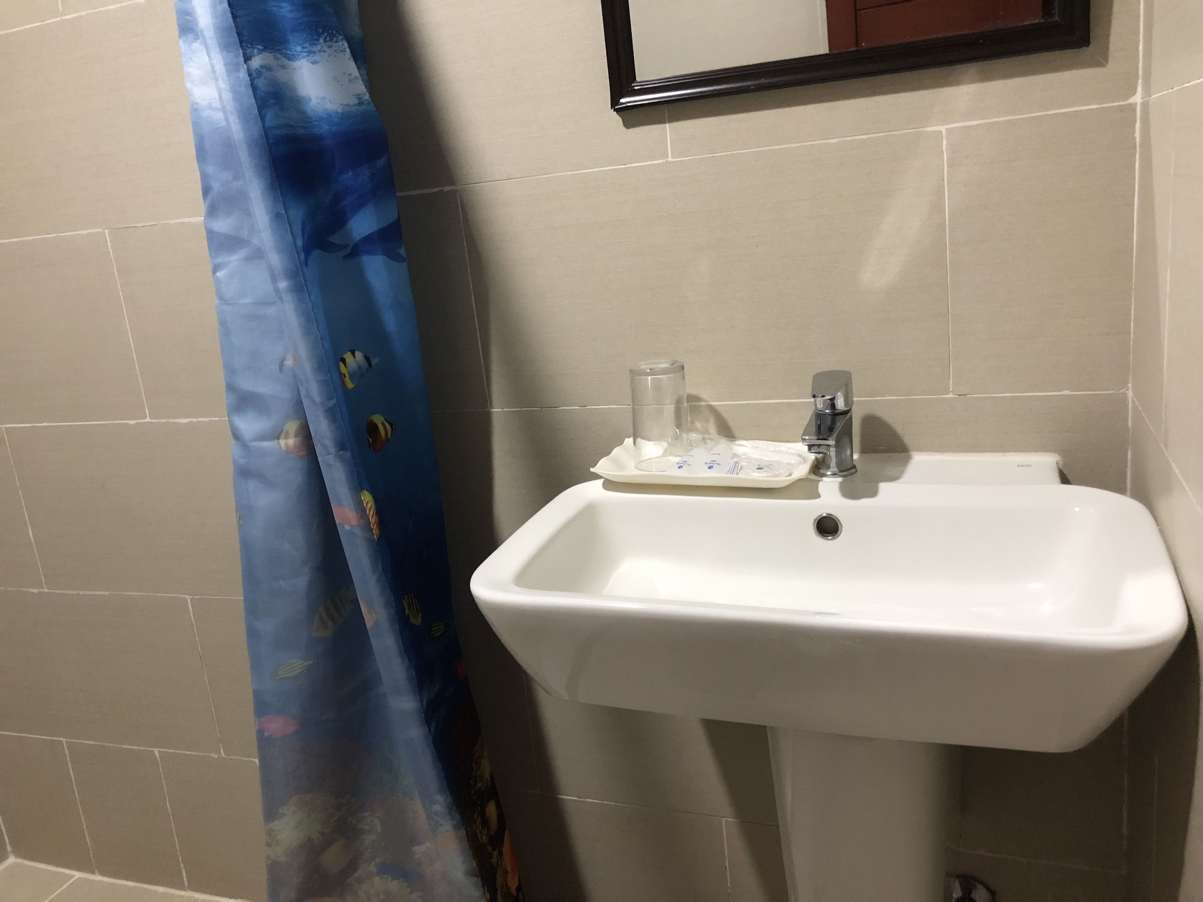 A bathroom with a white sink, a mirror above it, and a blue shower curtain with fish patterns.
