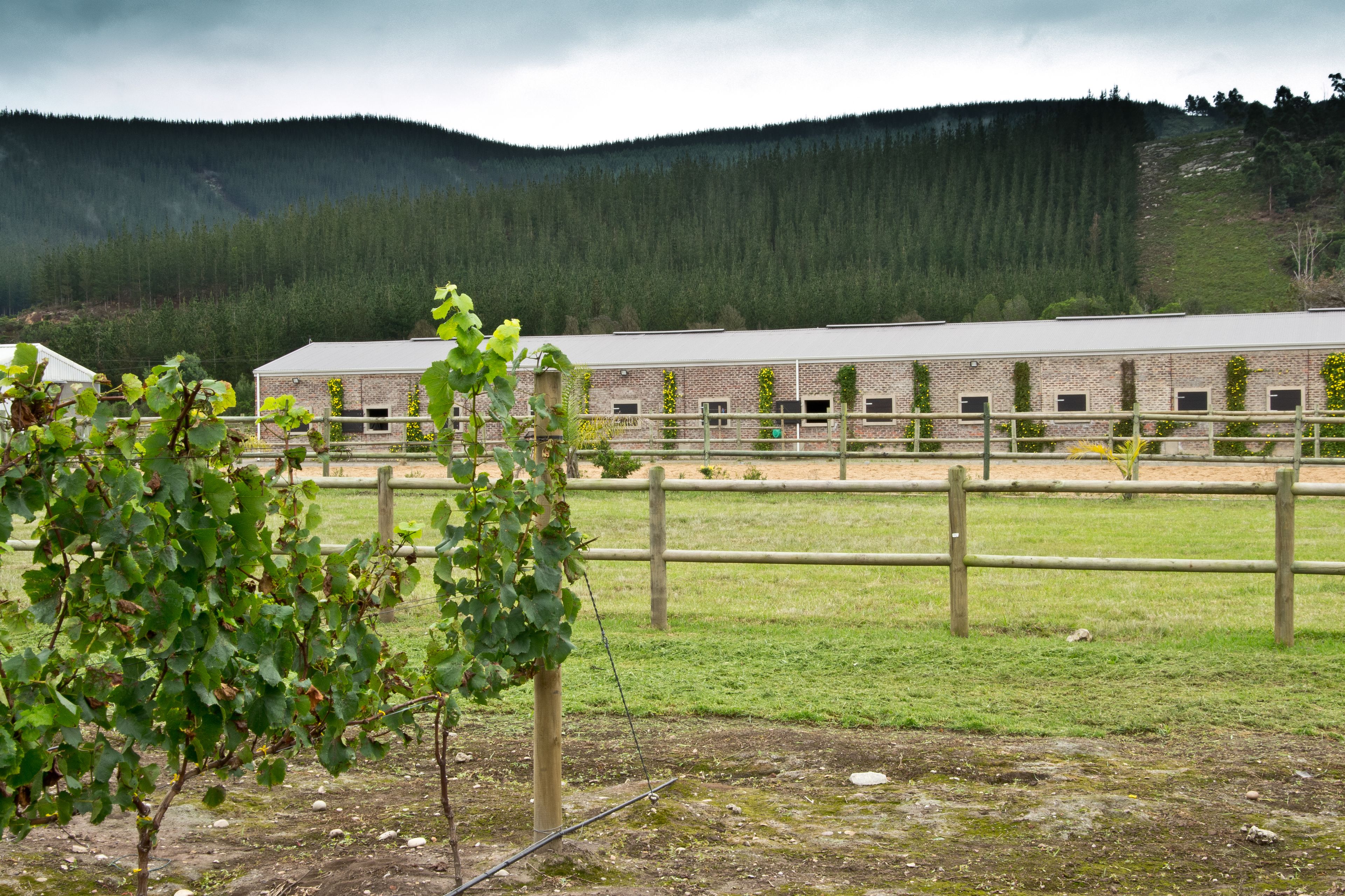 A brick building with multiple windows, surrounded by a wooden fence and a grassy area.