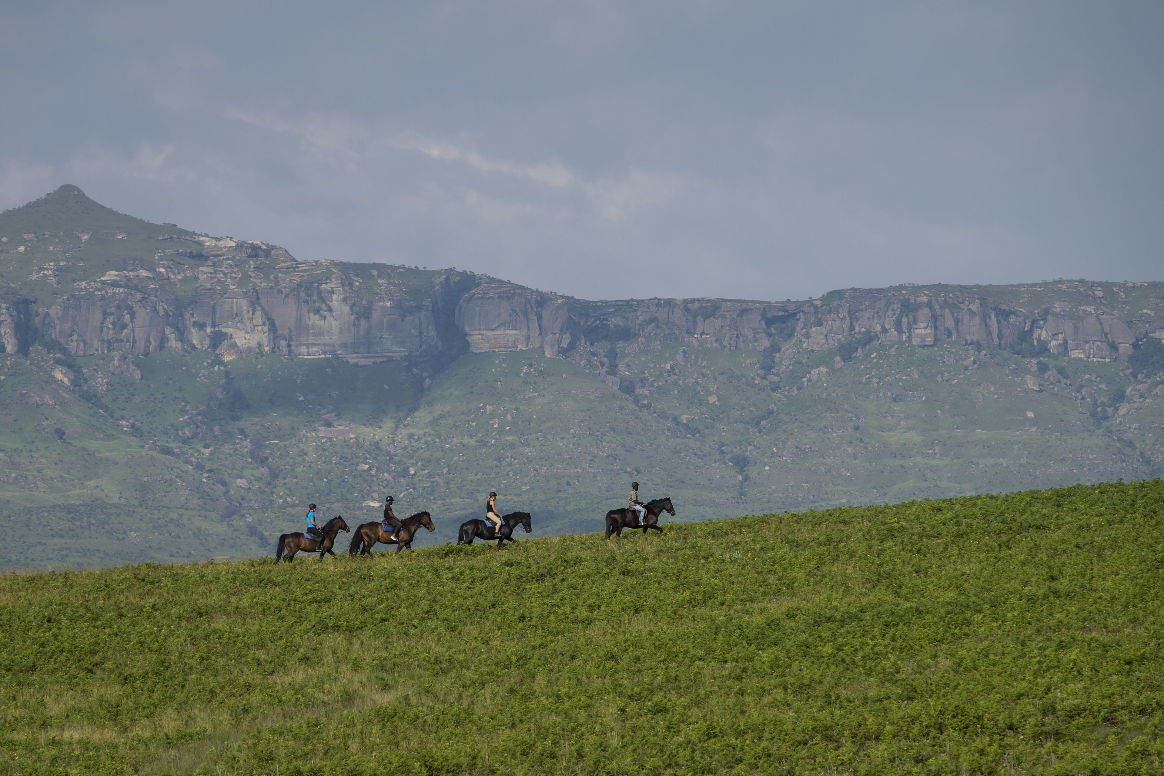Eine Gruppe von Menschen reitet auf Pferden einen grasbewachsenen Hügel hinauf, mit einem Bergpanorama im Hintergrund.