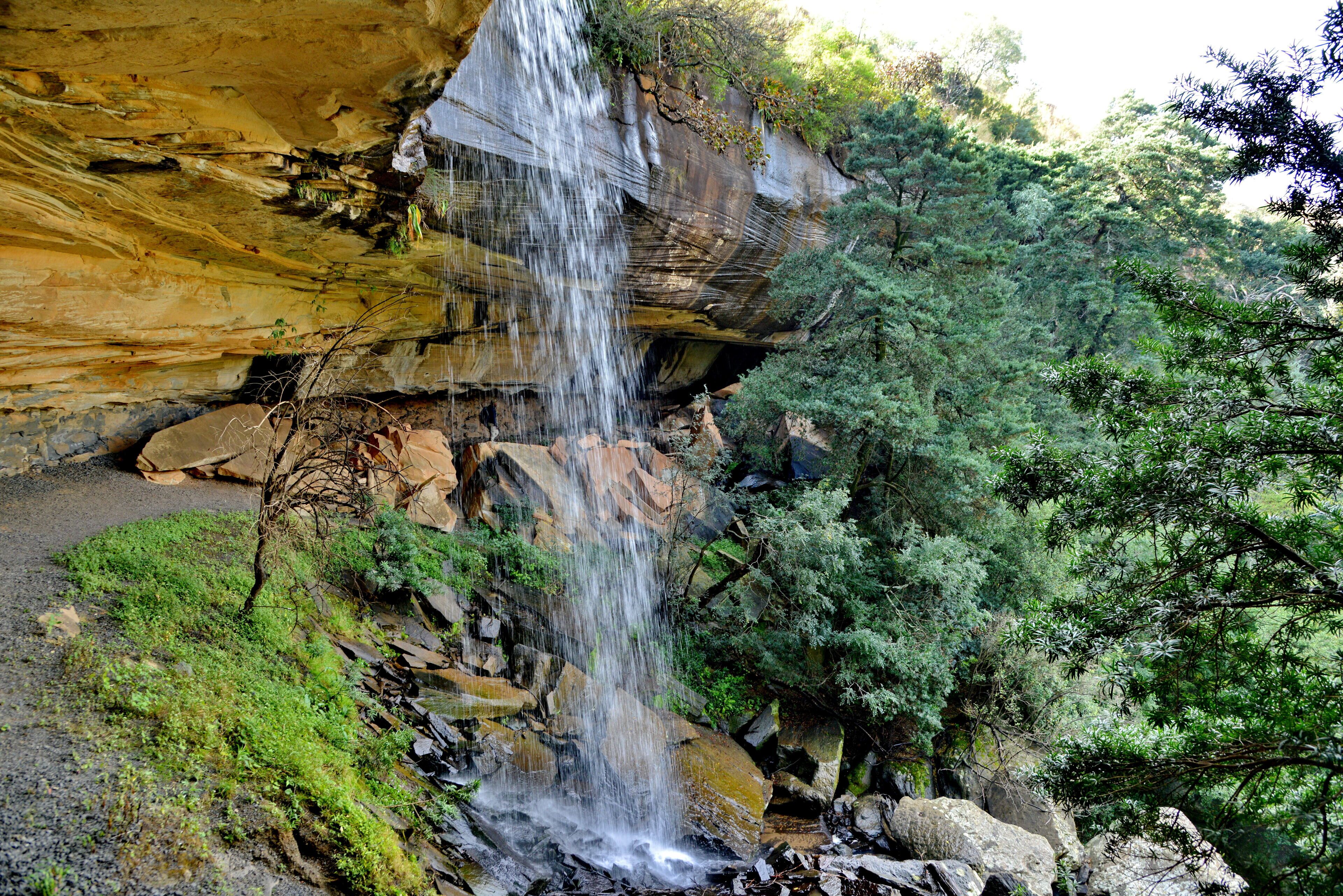 Ein Wasserfall stürzt über eine felsige Klippe, umgeben von üppiger Vegetation.