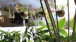 Jardim