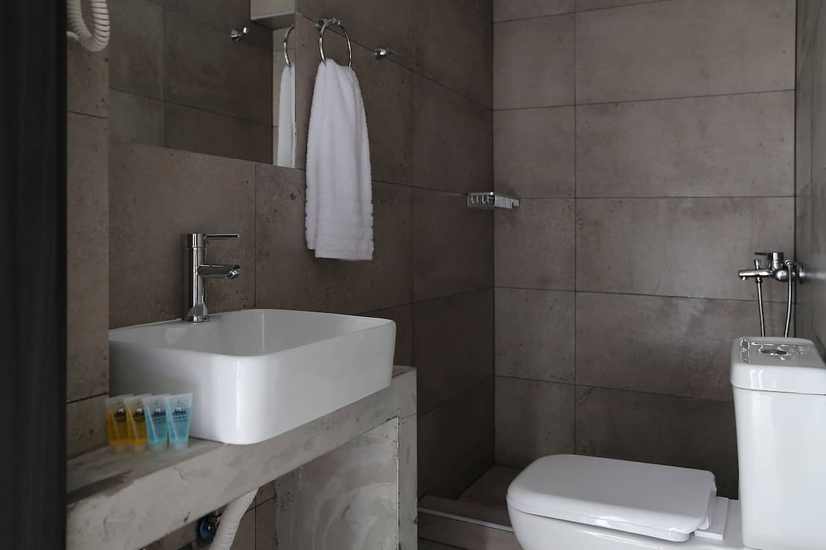 shower, rainfall showerhead, free toiletries, hair dryer