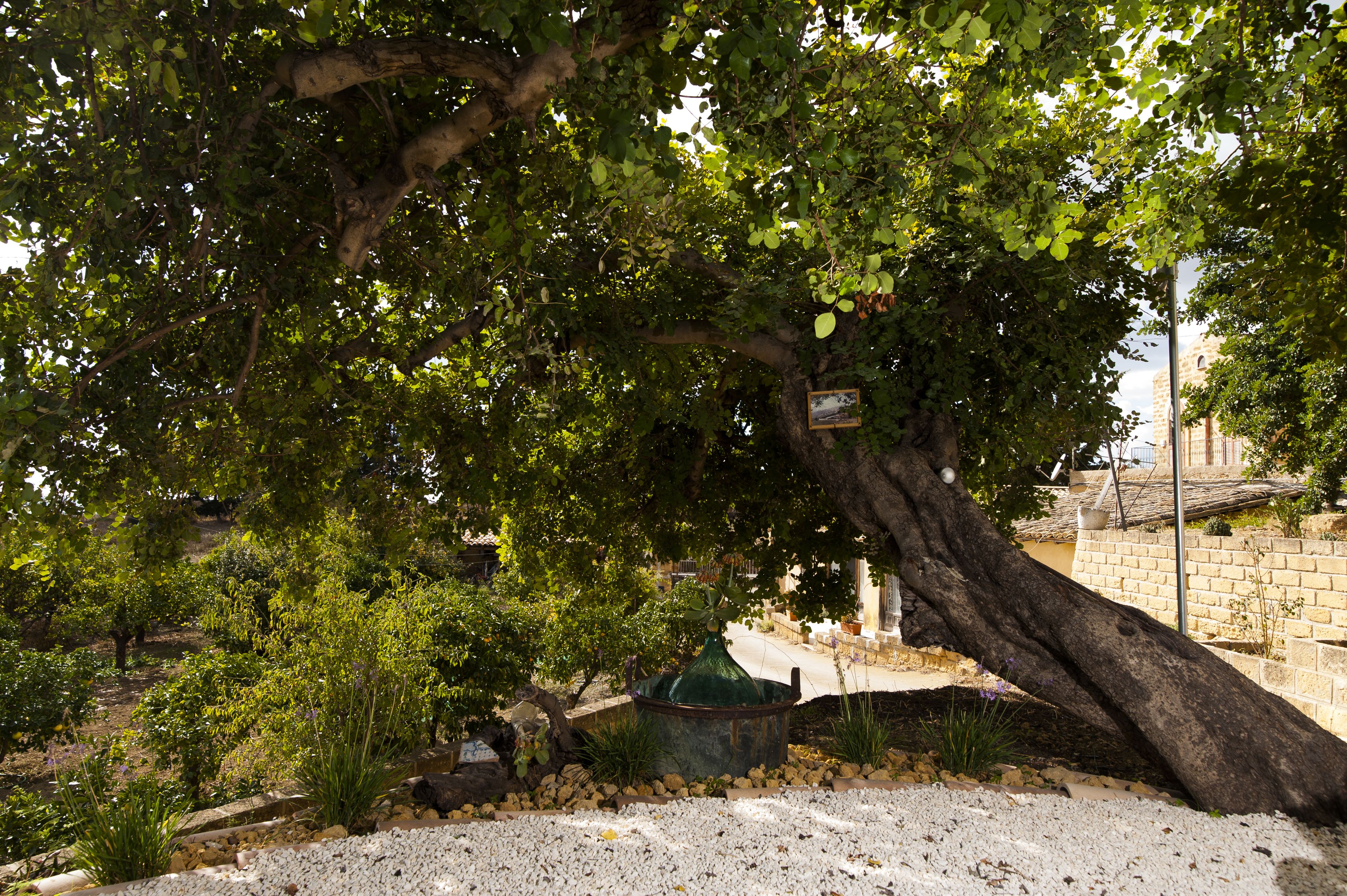 Foto - Villa La Lumia B&B Suites & Apartments