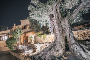 Un árbol grande en un área ajardinada, con un muro de piedra y un edificio al fondo.