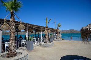 On the beach, beach bar