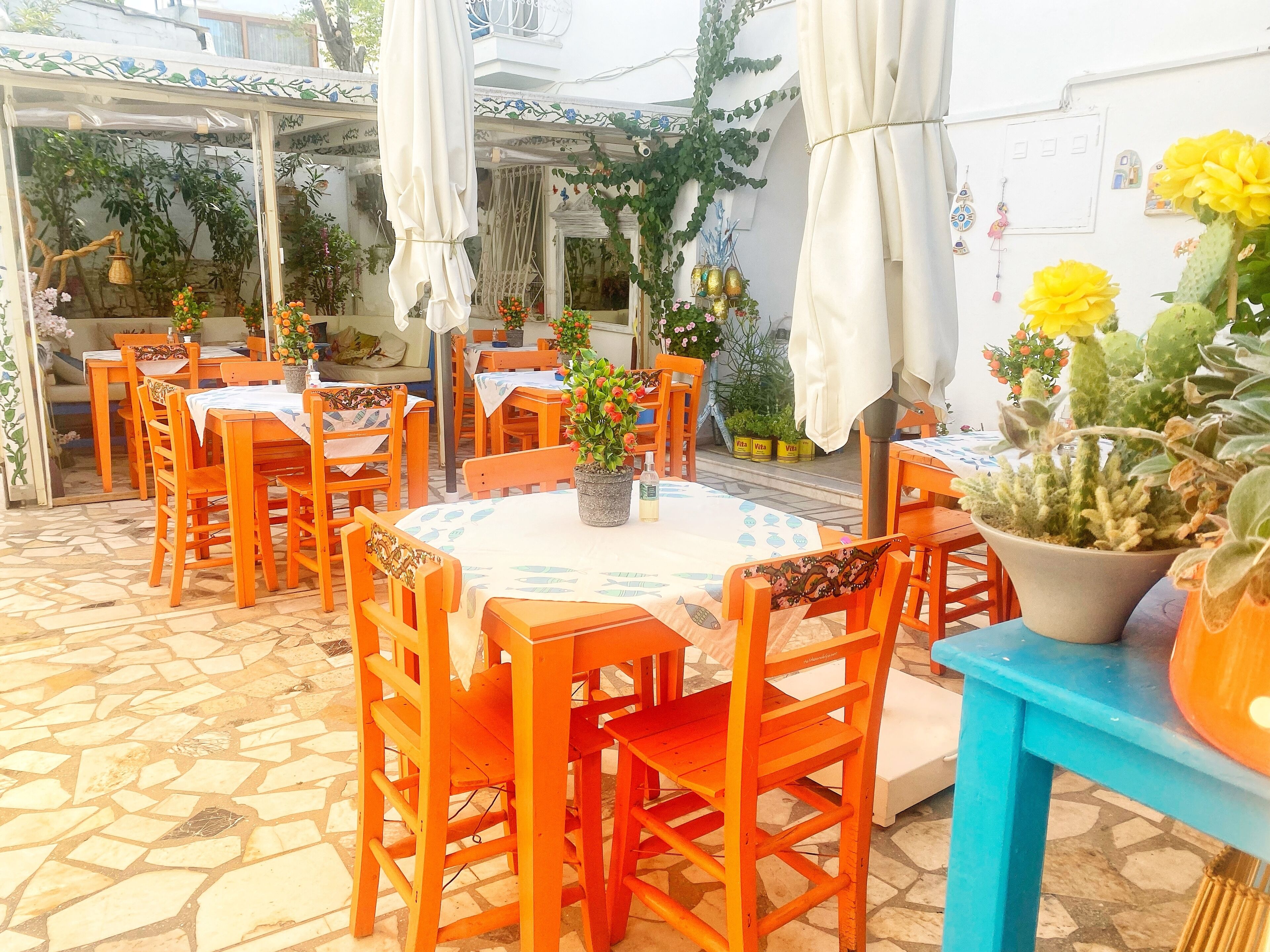 An outdoor patio area with orange wooden tables and chairs, a round table with a blue tablecloth, and various potted plants and flowers.