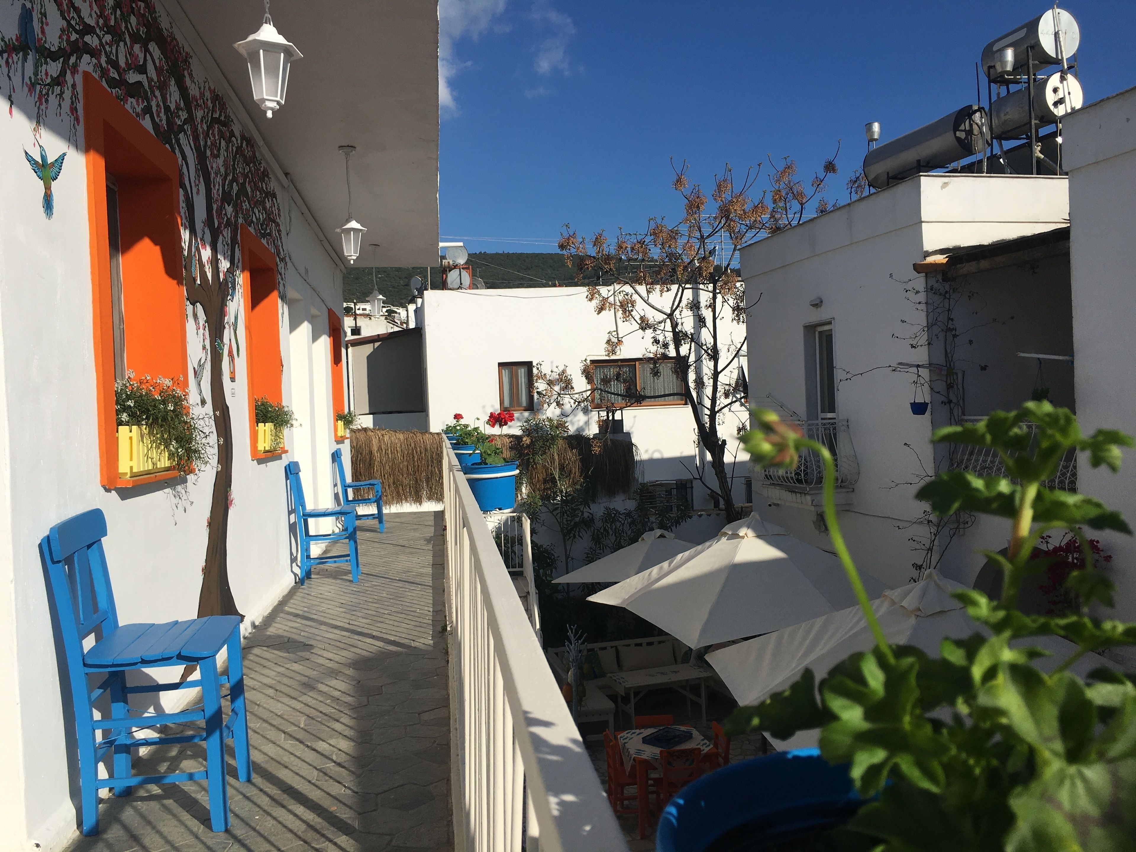 A narrow outdoor corridor with blue chairs, potted plants, and umbrellas.