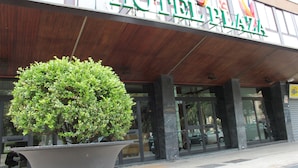 Entrada de hotel con un gran árbol en maceta, fachada de madera y banderas sobre la entrada.