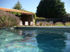 Seasonal outdoor pool - Casa de Santo António de Britiande (Lamego)