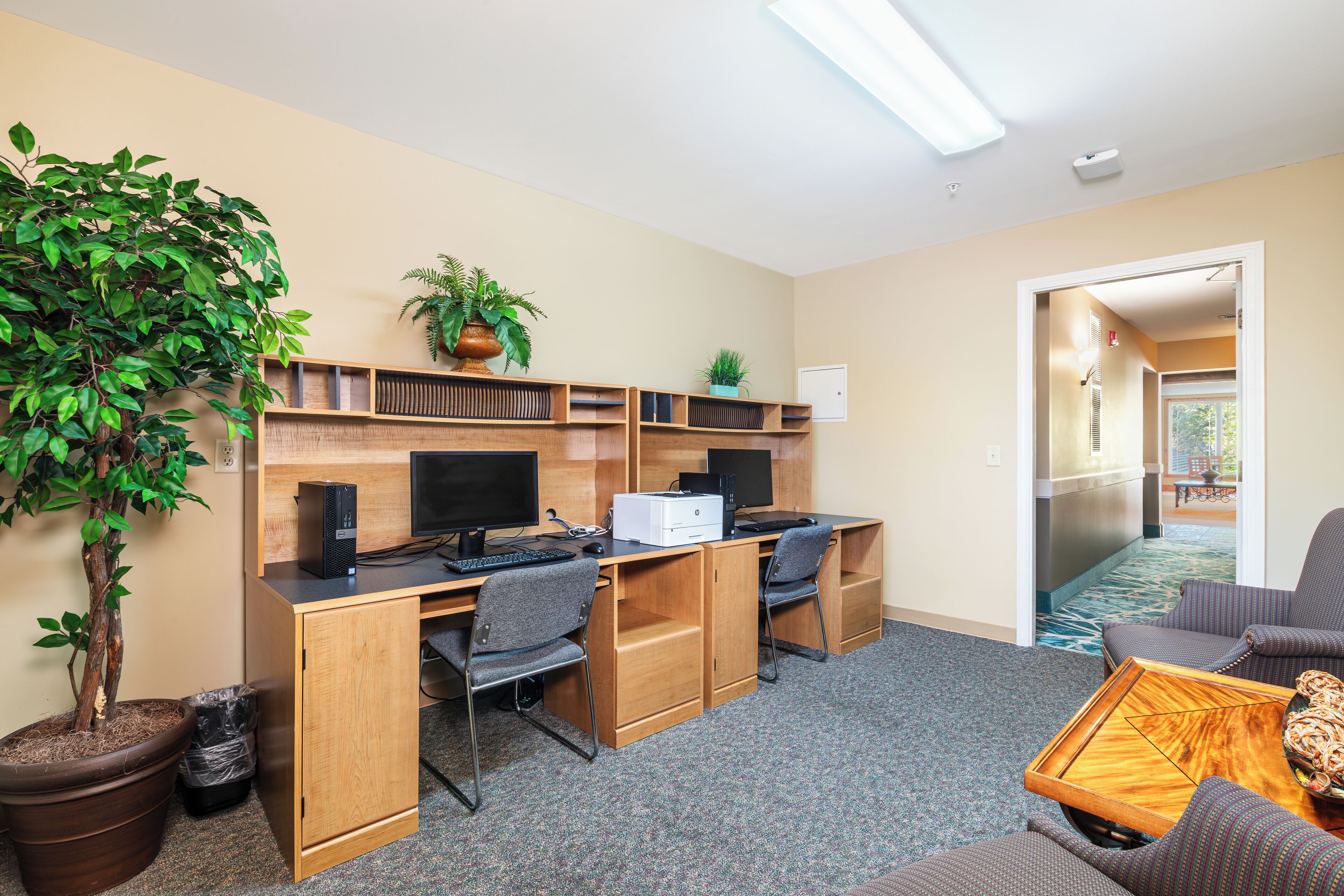 A hotel room with a desk, two chairs, a computer, a printer, a potted plant, and a sofa.