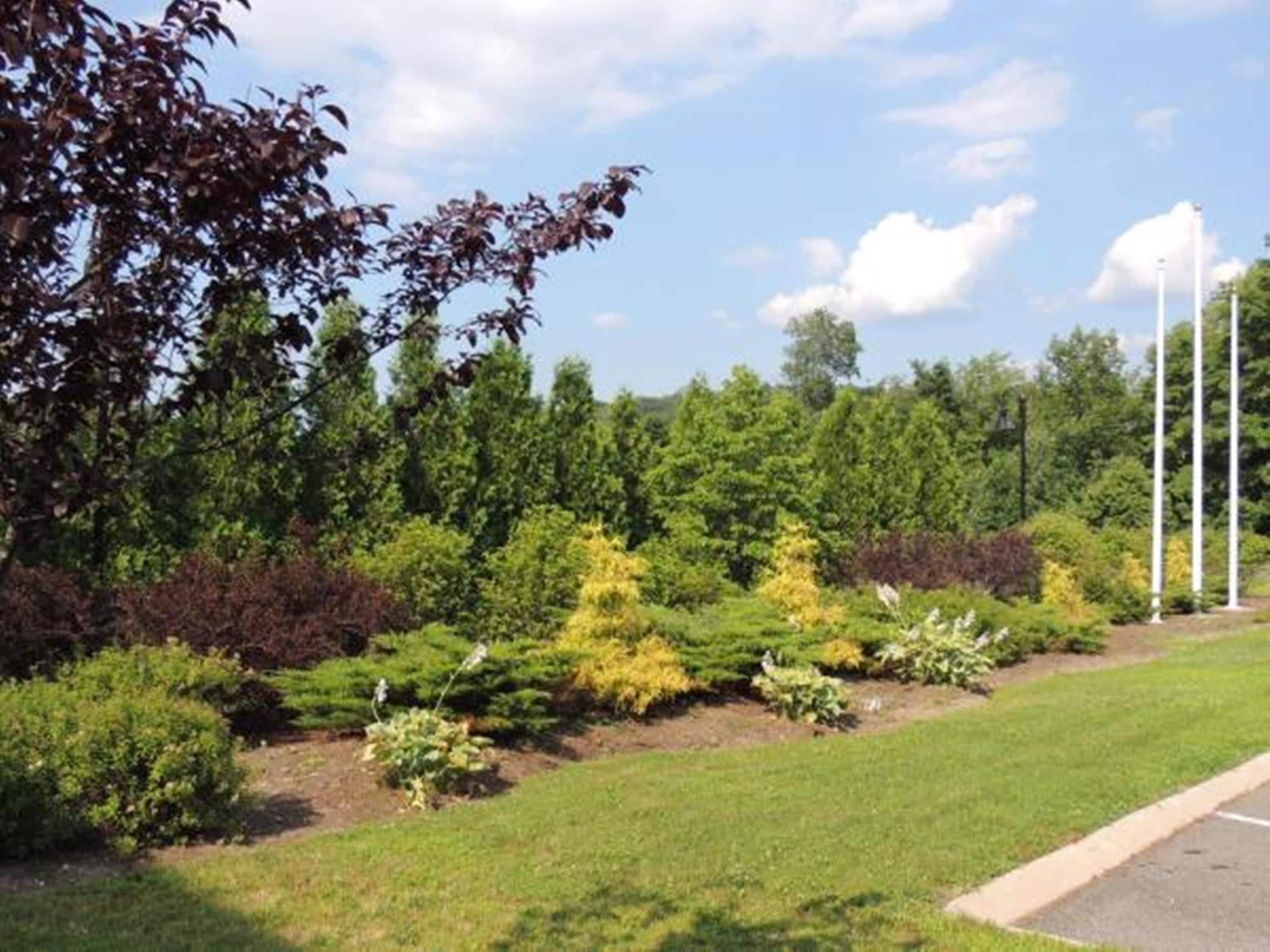 Ein angelegter Garten mit verschiedenen Sträuchern und Bäumen, einem gepflasterten Weg und einer Rasenfläche.