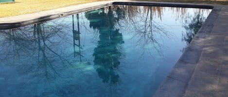 Outdoor pool, pool loungers