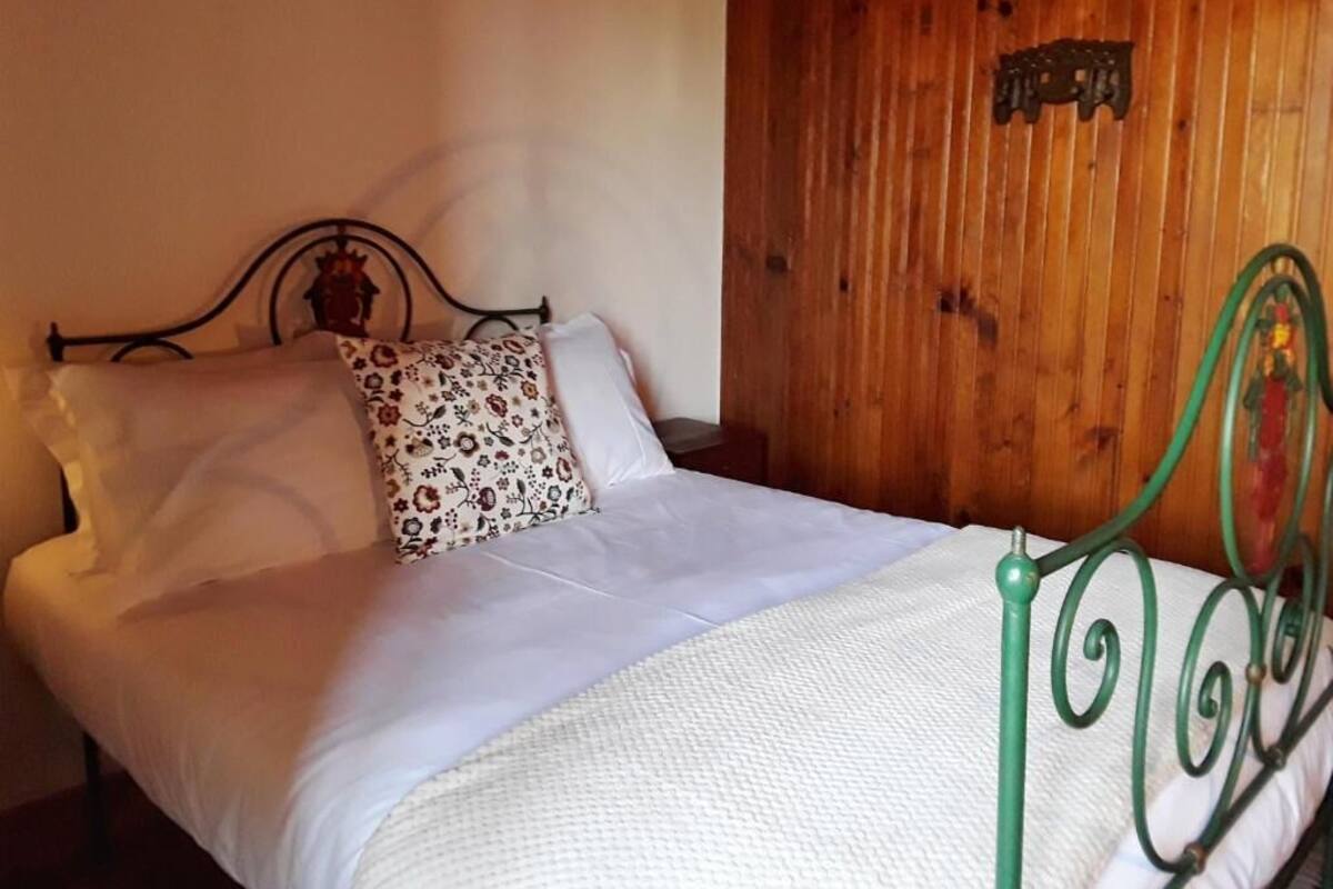 Una cama individual con cabecera, un cojín estampado y estructura de metal verde.