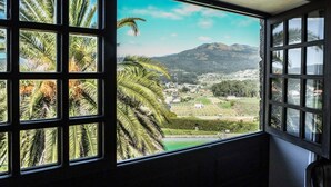 A room with a large window overlooking a landscape with palm trees and a mountain.