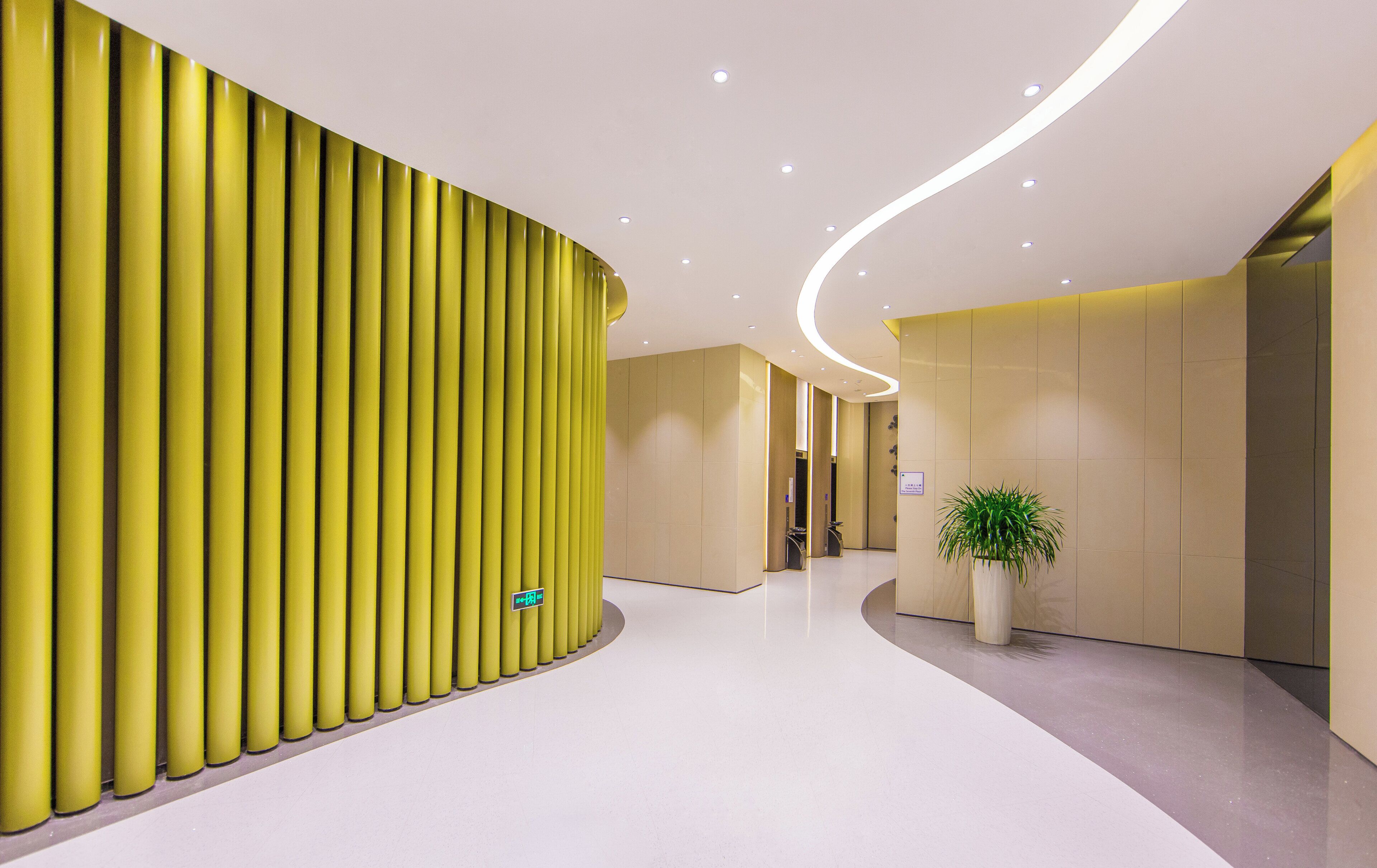 A modern interior with a curved ceiling, a yellow accent wall, and a potted plant.