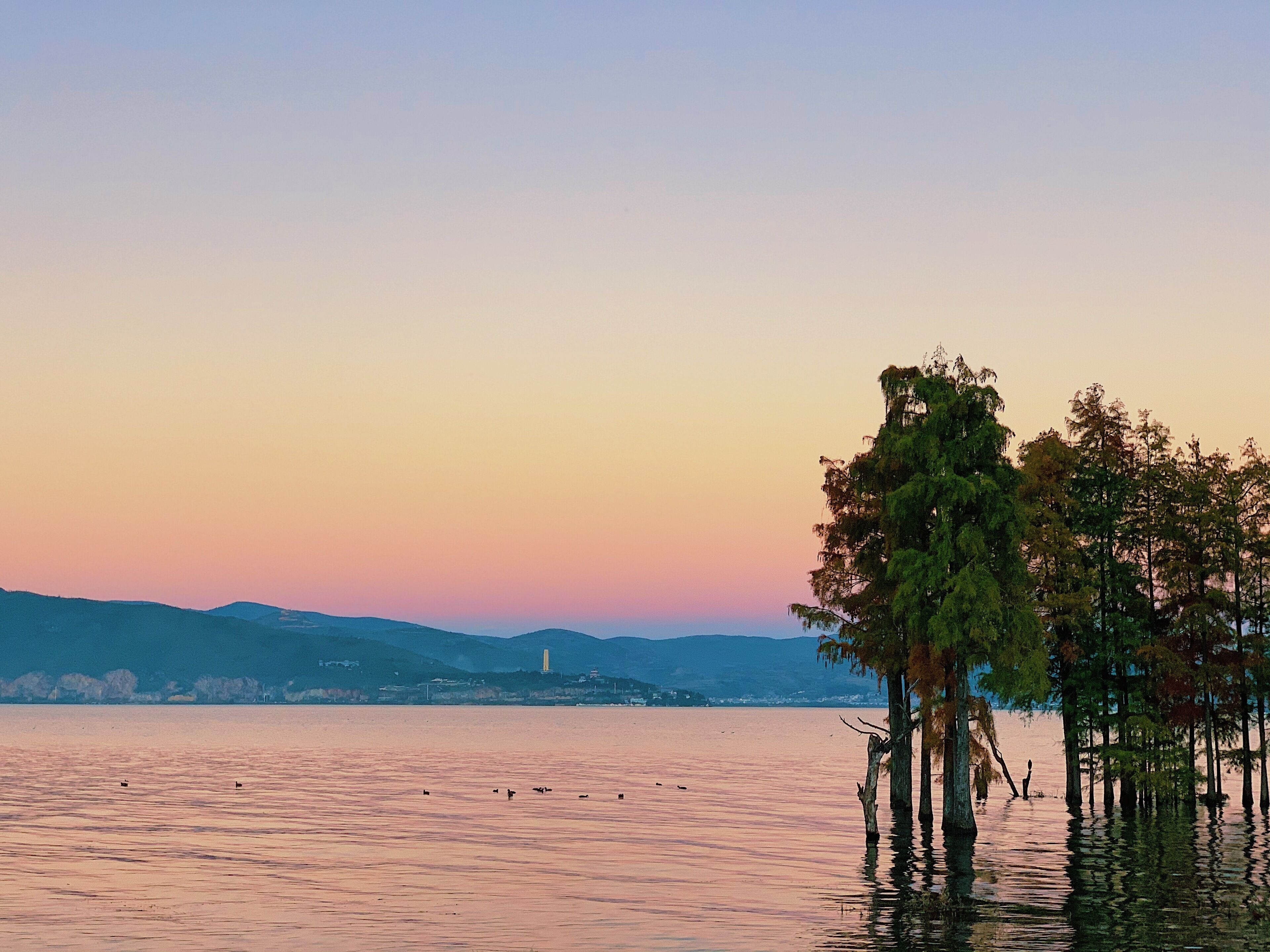 Un lac paisible, avec des arbres au premier plan et une silhouette urbaine lointaine.
