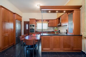 Full-sized fridge, microwave, oven, stovetop - Leone Luxury Villas (Zakynthos)