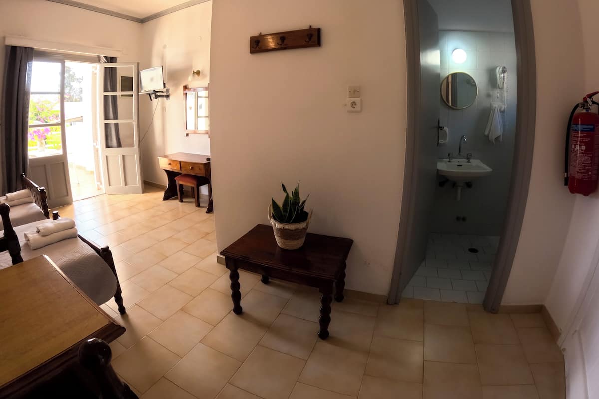 Una habitación con una mesa de comedor, sillas, una pequeña mesa de madera con una planta, un espejo y un baño con lavamanos y perchero para toallas.