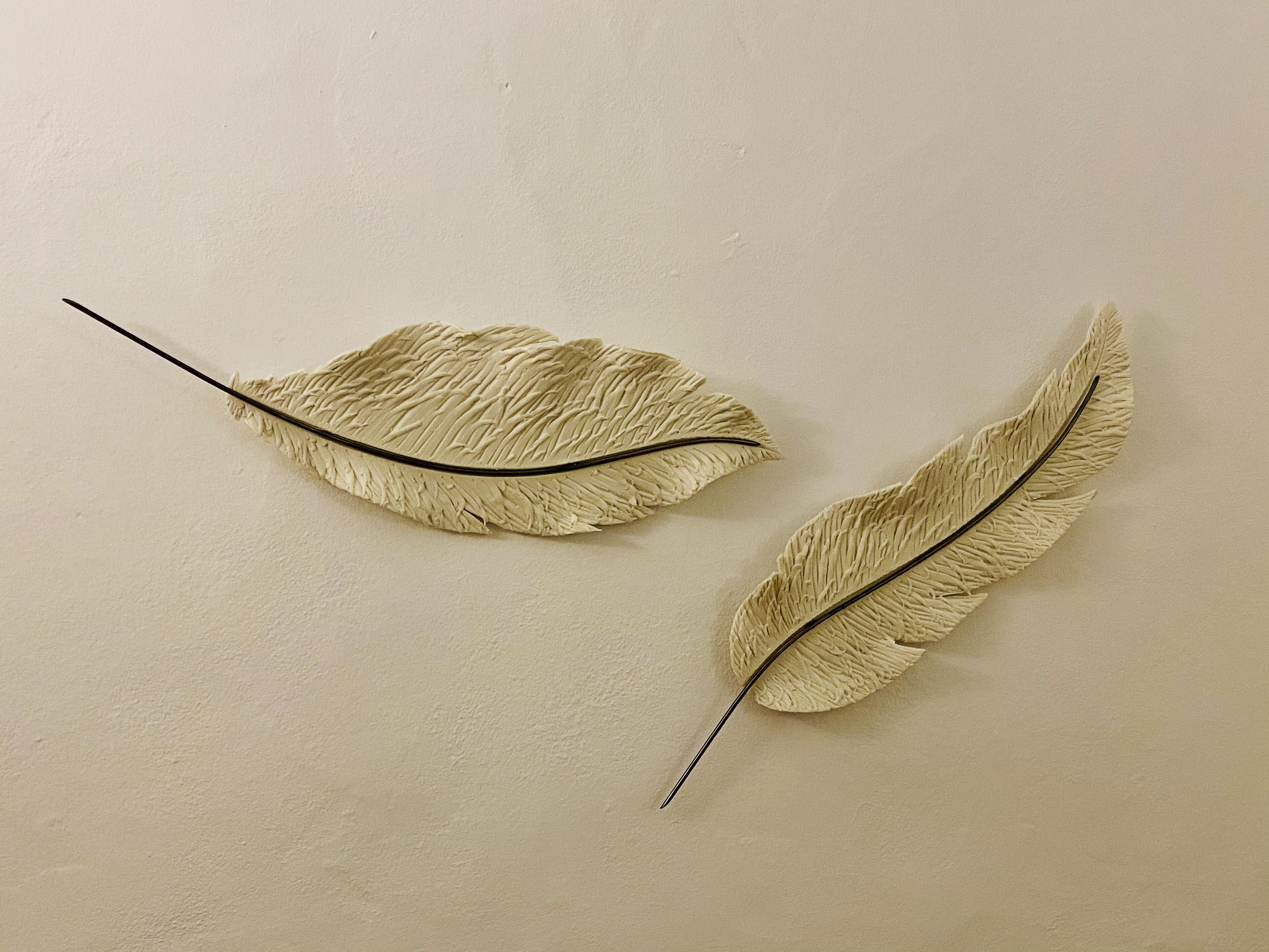 Two wall-mounted feather decorations.