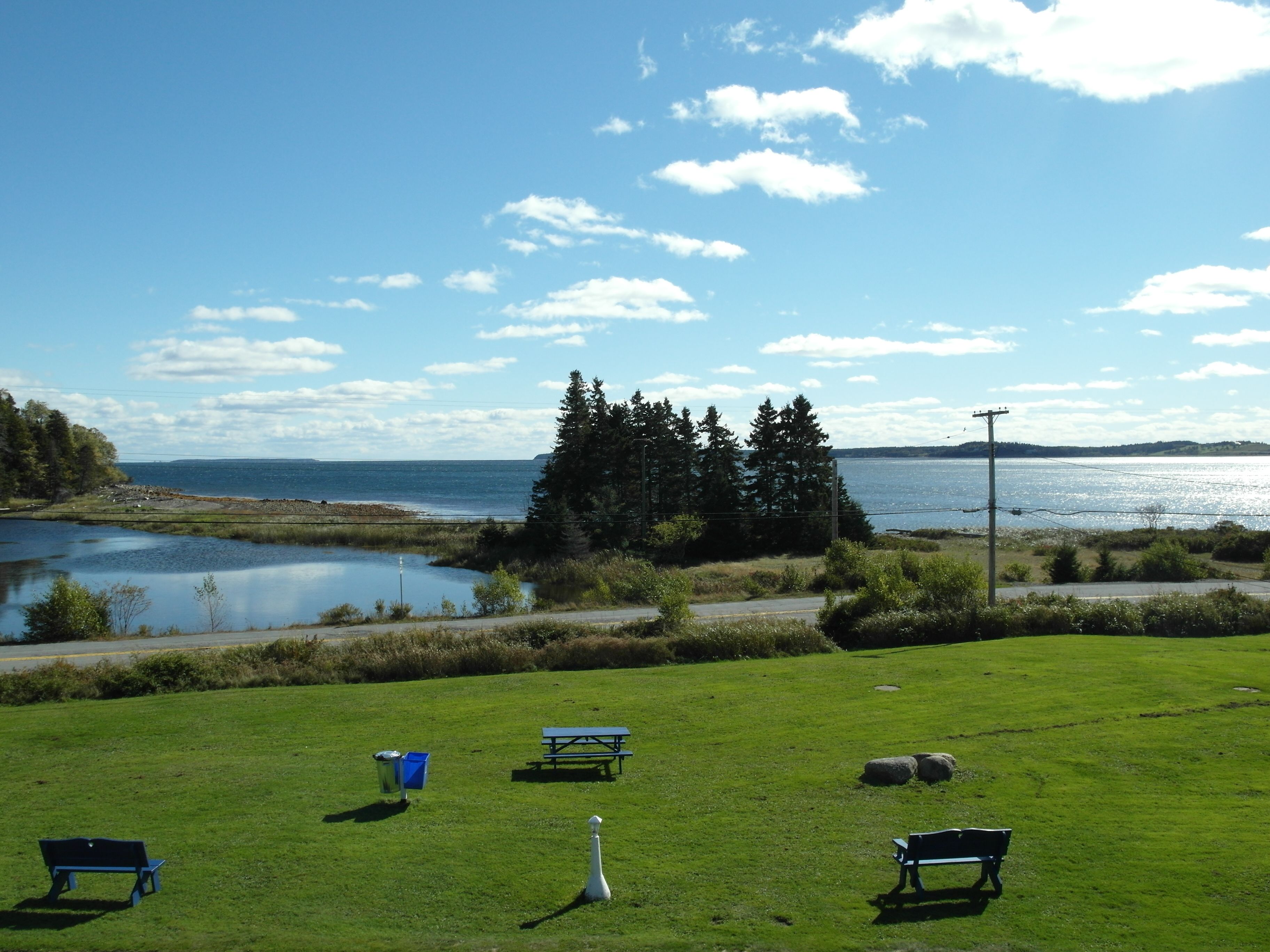 A grassy area with picnic tables and benches, a small body of water, and a forest in the background.