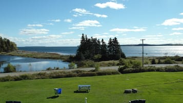 A grassy area with picnic tables and benches, a small body of water, and a forest in the background.
