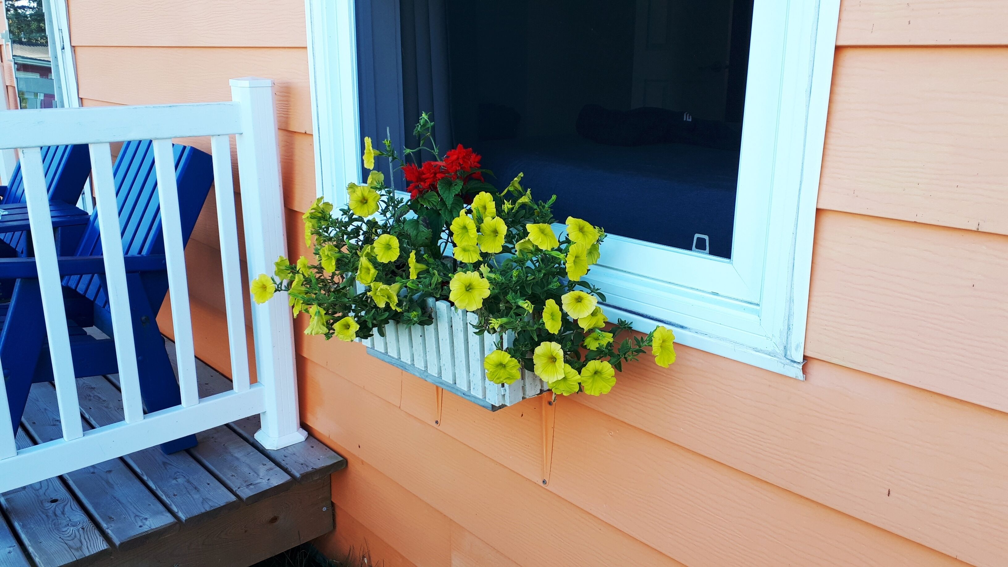 Caja de ventana con flores amarillas y rojas en una casa.