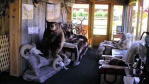 Interior rústico com paredes de madeira, chifres de veado fixados na parede e uma placa proibindo o toque nos chifres.