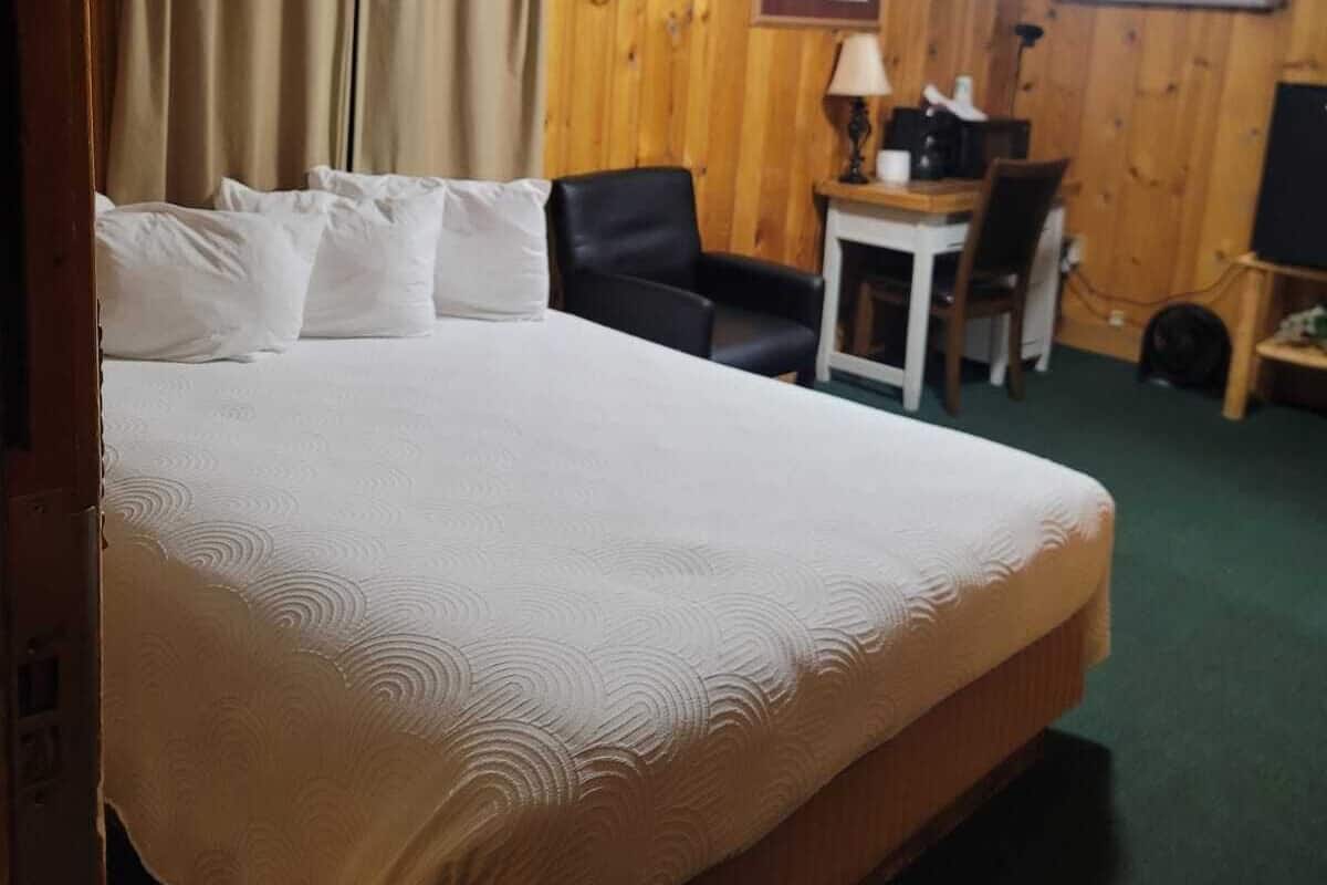 A hotel room with a large bed, a desk with a chair, a lamp, and a mounted deer head on the wall.