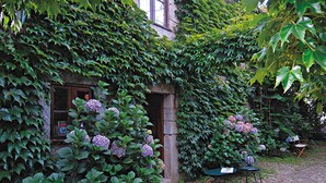 A building with ivy-covered walls and a cobblestone path leading to a door.
