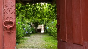 A cobblestone pathway leading through a lush garden with a red door and decorative metalwork.
