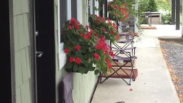 A row of outdoor chairs and tables on a concrete patio, with a green building and a hanging plant with red flowers in the background.