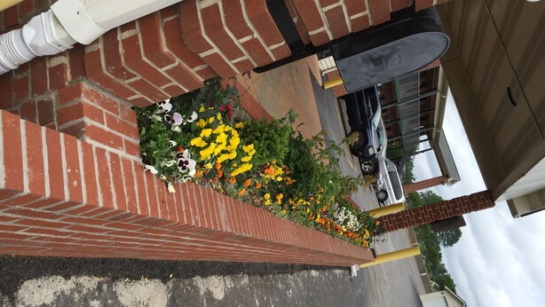 Estructura de ladrillo con un parterre lleno de flores diversas.