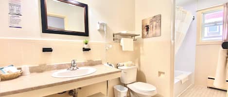 A family room bathroom with a sink, toilet, and shower area.