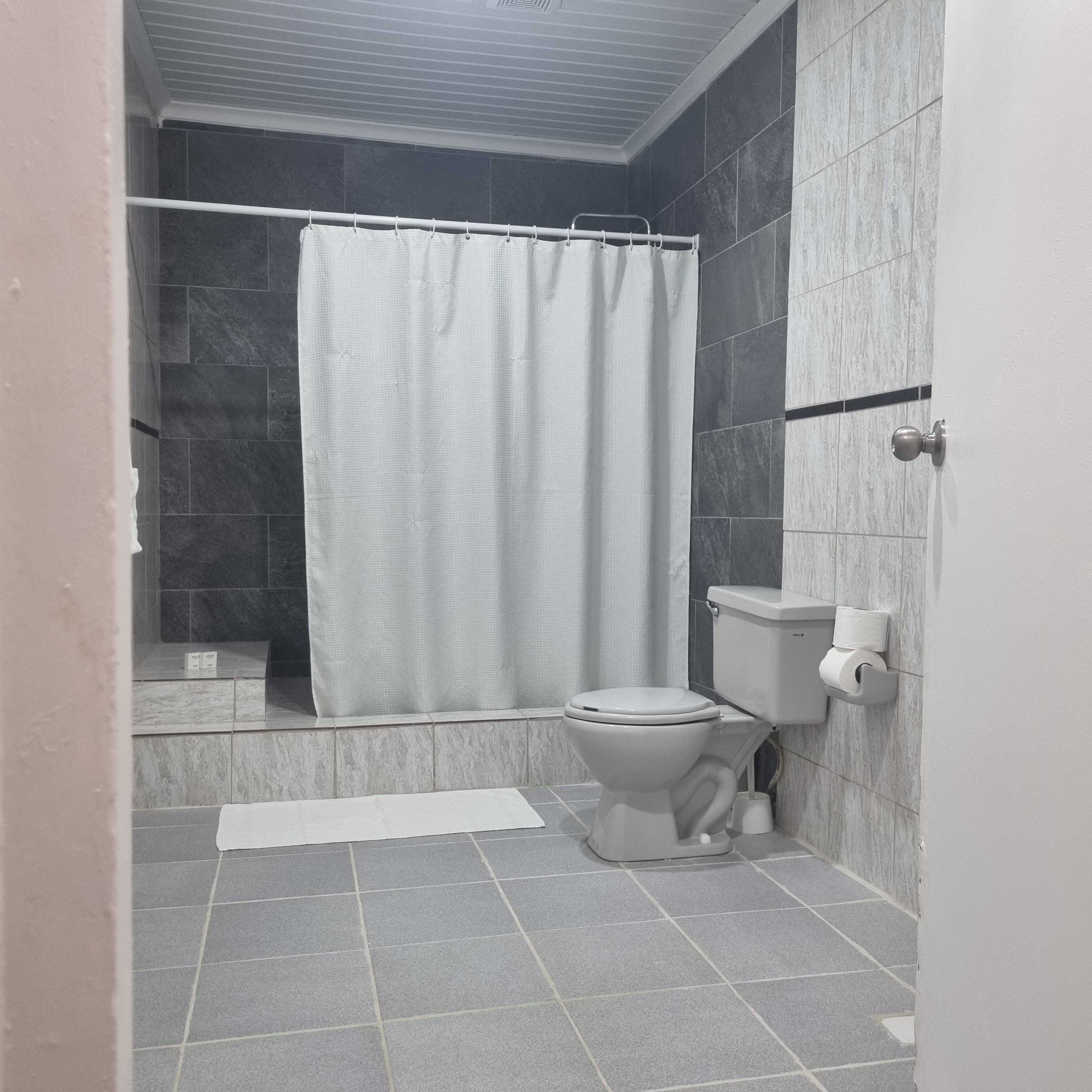 Un bagno con doccia, WC e portasciugamani.