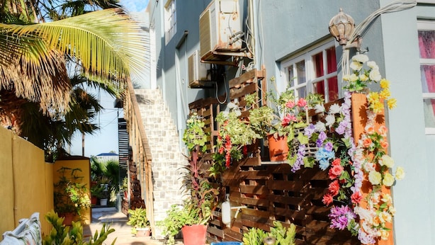 A narrow outdoor pathway leading to a building with a blue exterior, surrounded by potted plants and a wooden fence.