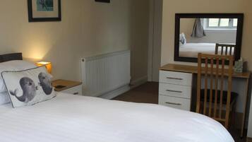A bedroom with a bed, a desk, a chair, a nightstand, and a mirror.