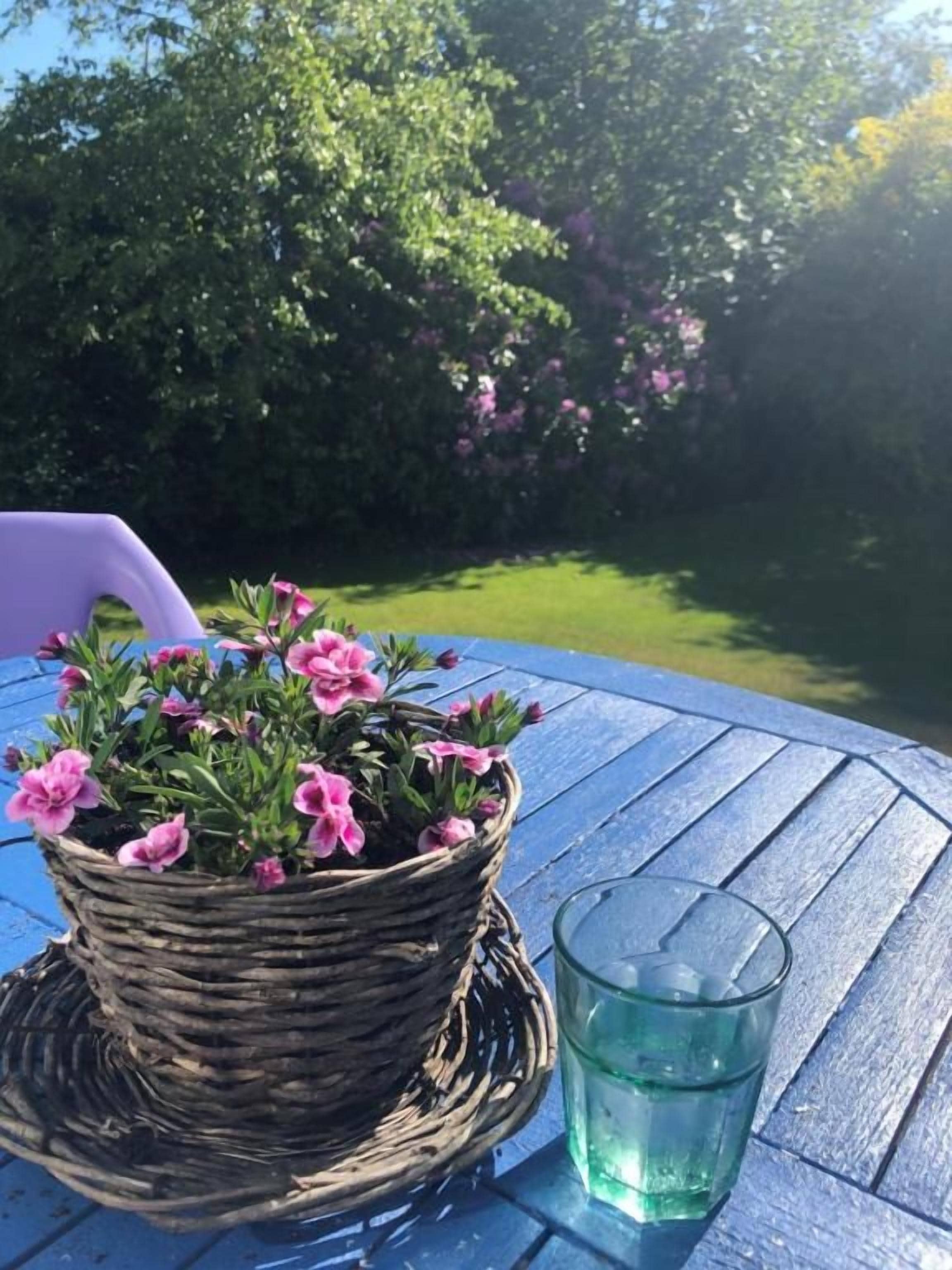 Un panier en osier orné de fleurs roses, posé sur une table bleue, un verre d’eau transparent et, en arrière-plan, une pelouse verte.