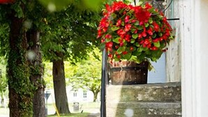 A stone staircase leading to a white building with a hanging flower pot on the right. - The Tollgate Inn (Trowbridge)