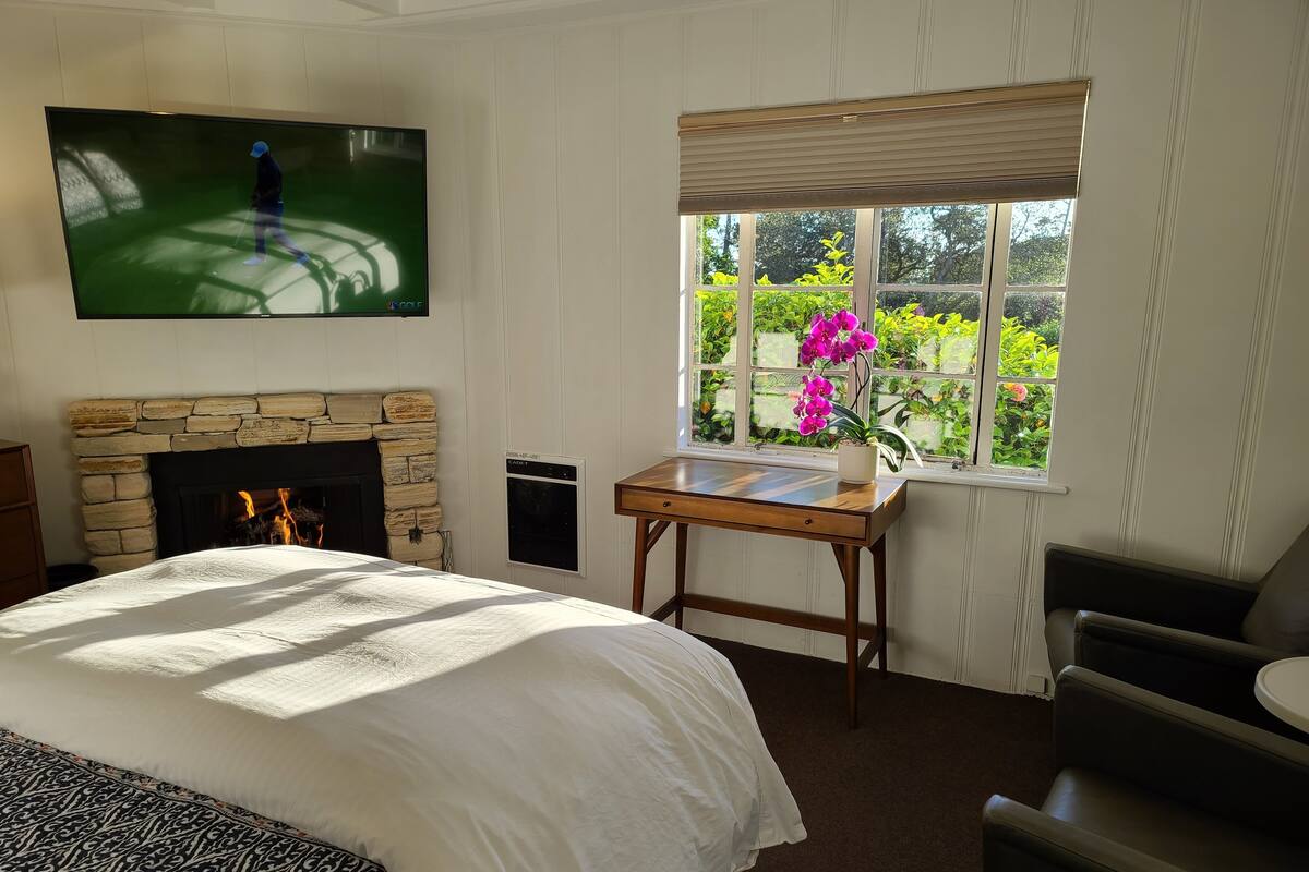 A bedroom with a bed, a fireplace, a television, a window with a view of greenery, and a desk with a potted plant.