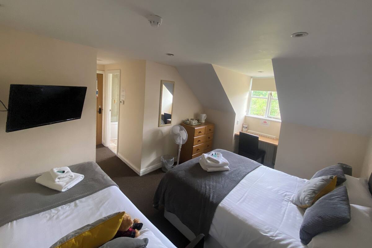 Une chambre d’hôtel avec deux lits, une télévision, une commode, un miroir et une fenêtre.